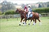UKPA NC SAT_2656